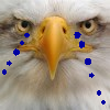 0_1507227942048_8ac8c0fa-768b-44b4-9be6-73f323d106ba-image.png