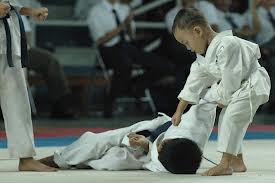 0_1548659407463_karate.jpg