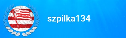 0_1557038615265_szpilka.jpg