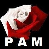 Logo PAM.jpg