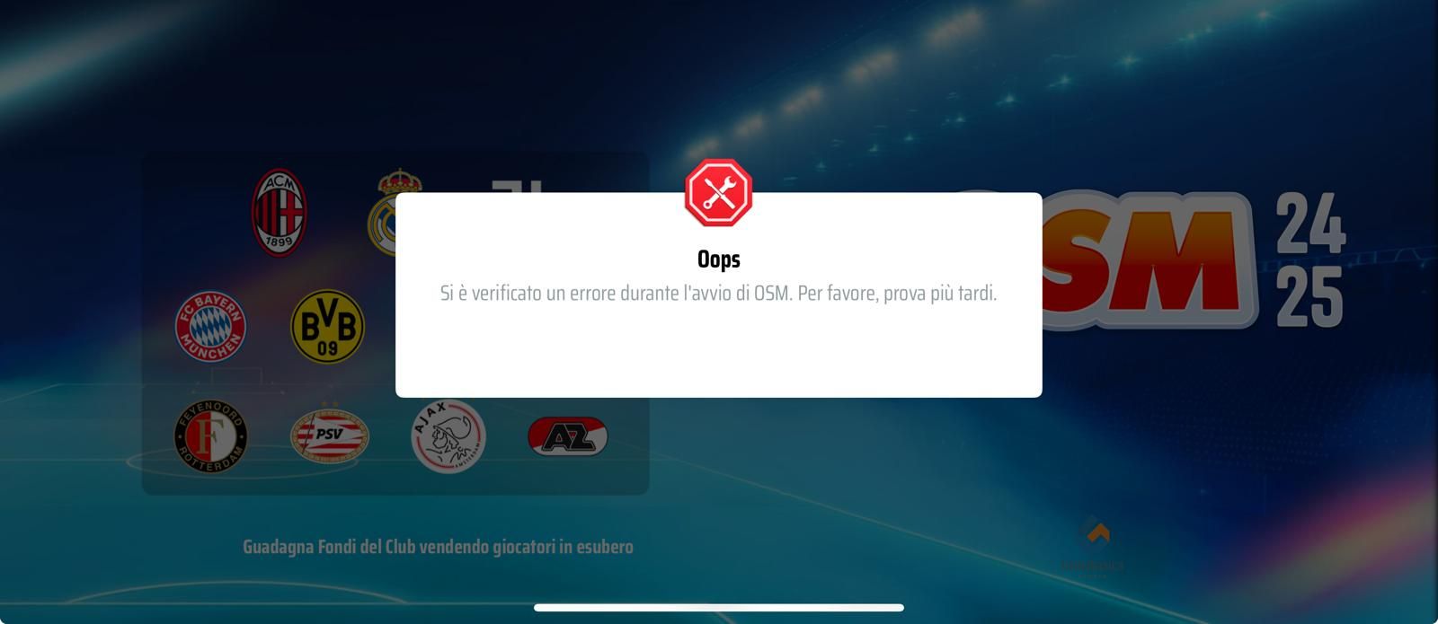 Errore OSM.jpg