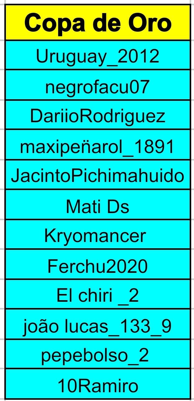 20250707 copa-oro.jpeg