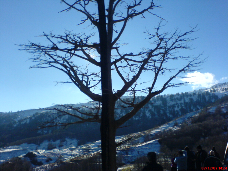 0_1480033177332_138.JPG