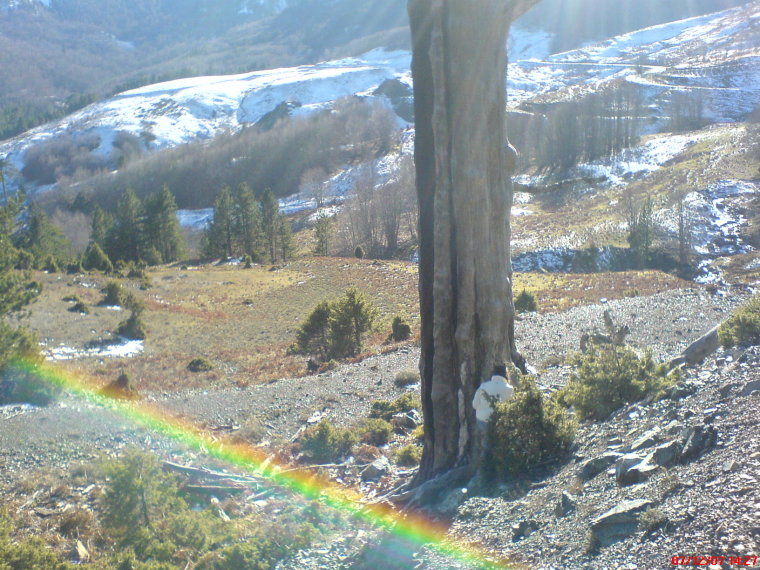 0_1480033221886_139.JPG